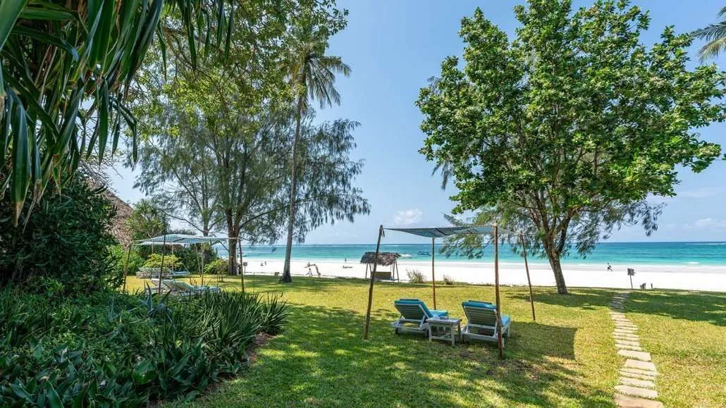 0027-Nomad-Banda-July-2024-_A7R9320-1030x579