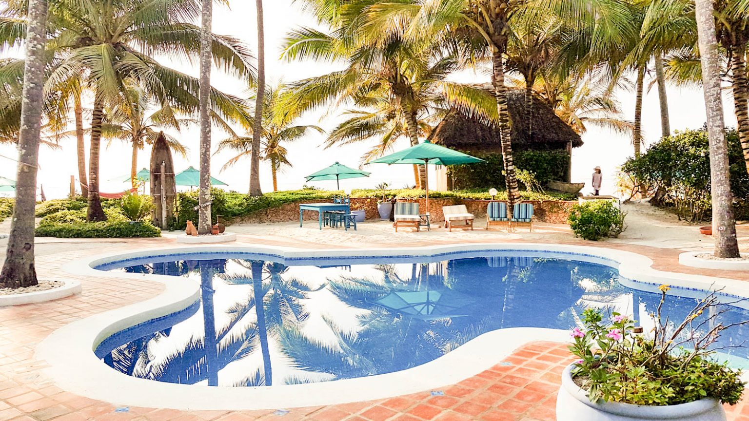 Asha-Web-10-1536x864