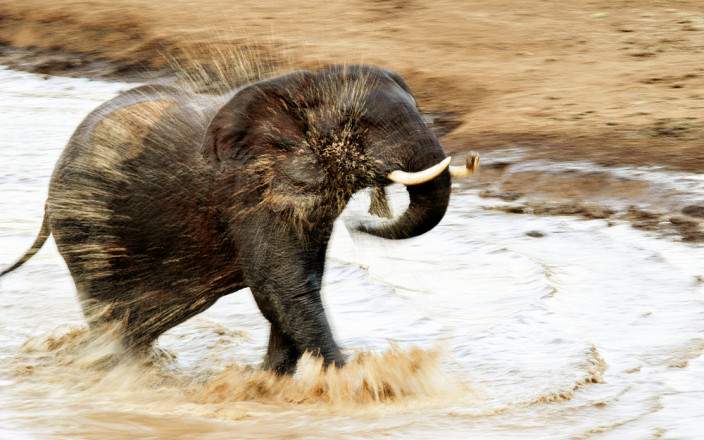 Aberdare_National_Park_017