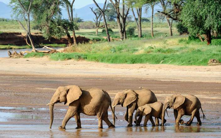 Samburu_National_Reserve_029
